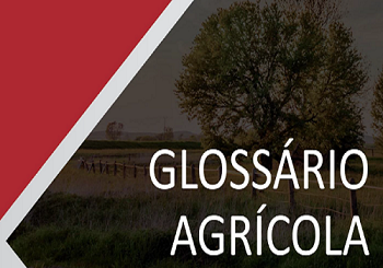 Fenseg cria Glossário do Seguro Rural para orientar profissionais do segmento
