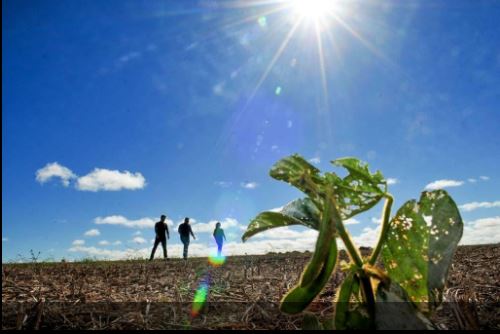 “Fase crítica”: CNSeg estima que subvenção ao seguro rural esgote já em agosto