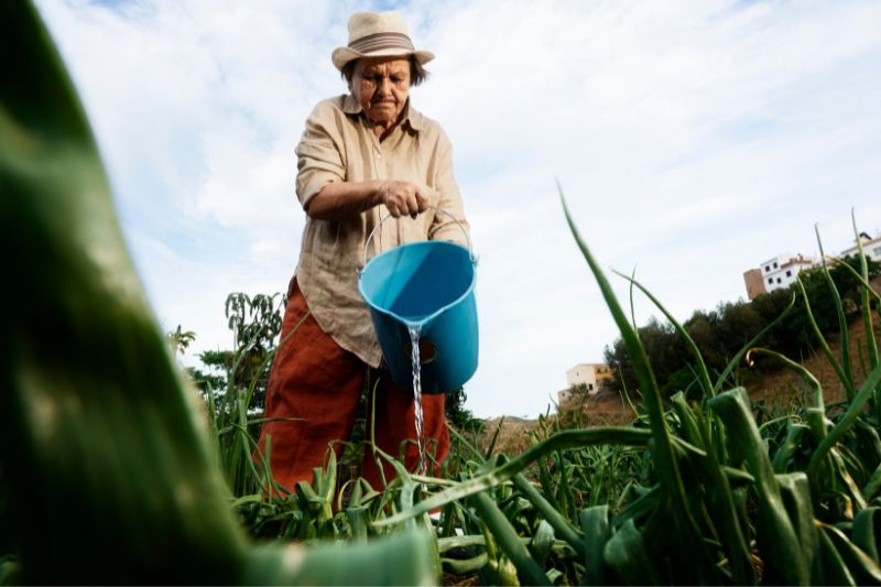 Produtos personalizados são o futuro do seguro rural no Brasil, diz Brasilseg