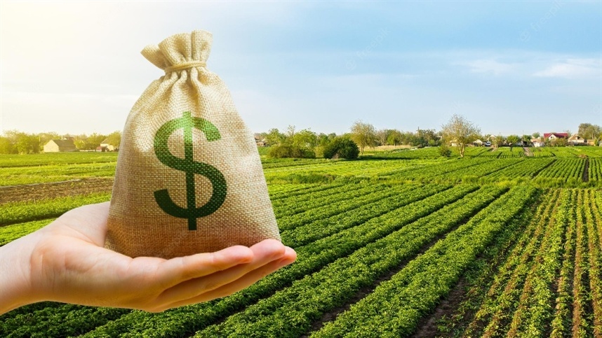 Riscos elevados: produtores consideram não contratar seguro rural
