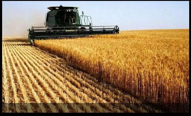 As inovações tecnológicas e o Seguro Agrícola na Era das mudanças climáticas