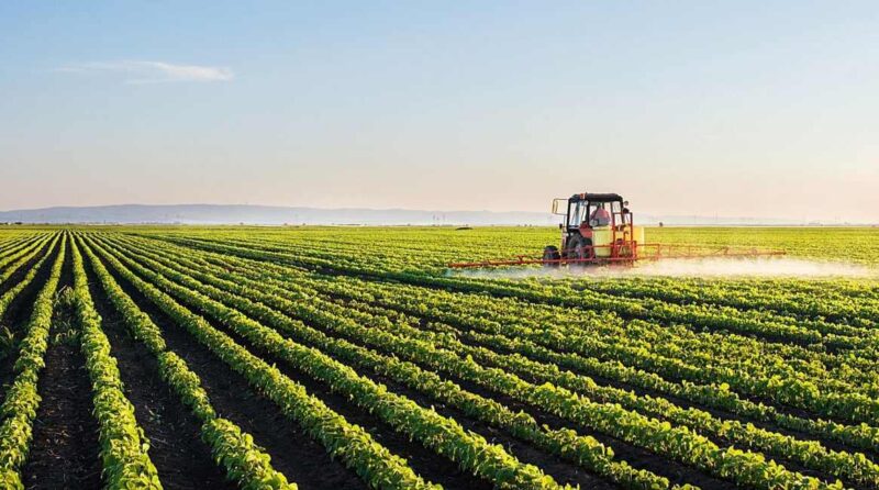 Lavoro reforça sua vocação em acompanhar clientes nas mais diversas etapas do trabalho no campo