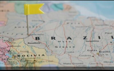 De norte a sul do país: qual a tendência do mercado de seguros para 2024?