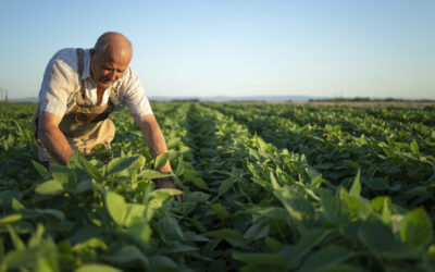 Programa de Seguro Rural atende apenas 70 mil produtores em 2023