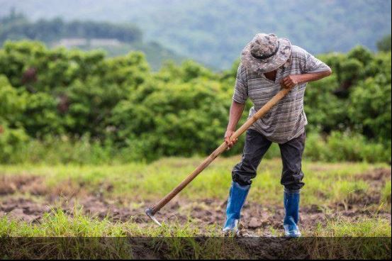 Seguro Rural no Brasil diminuiu em meio a desafios climáticos