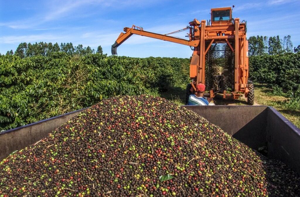 Queda na cobertura do seguro rural preocupa produtores agrícolas