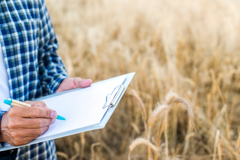 Menos de 20% dos agricultores brasileiros têm a proteção do seguro rural no Brasil