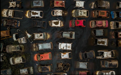 Leilão de carros destruídos por enchente compensa? Veja documentação e como funciona