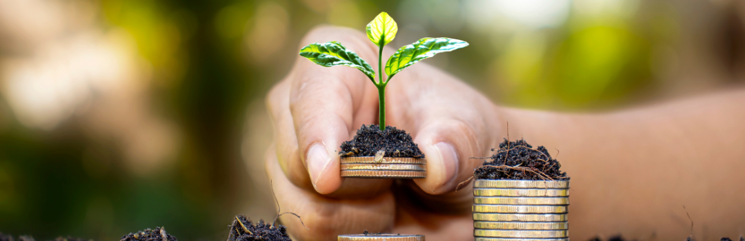 Confira como os seguros podem auxiliar na proteção da sua vida financeira