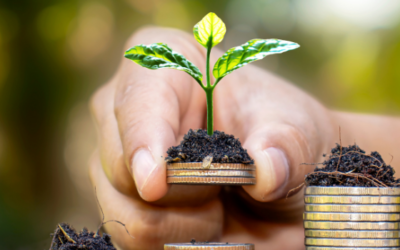 Confira como os seguros podem auxiliar na proteção da sua vida financeira