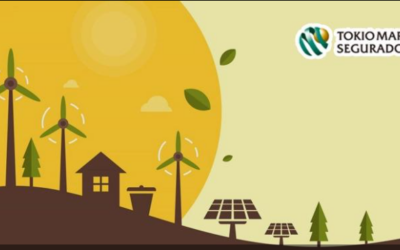 O mercado de seguros como impulsionador da energia renovável no Brasil