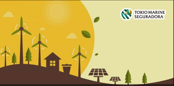 O mercado de seguros como impulsionador da energia renovável no Brasil
