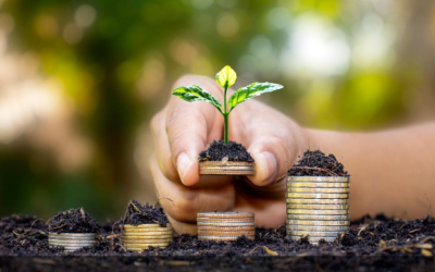 Seguro rural e práticas sustentáveis no mercado de investimentos