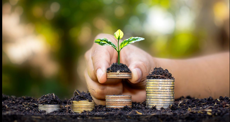 Seguro rural e práticas sustentáveis no mercado de investimentos