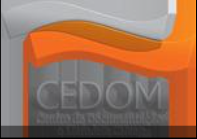 A vulnerabilidade do mercado de arte e a importância do seguro – CEDOM – CNseg