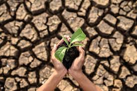 Um seguro para cobrir as catástrofes climáticas