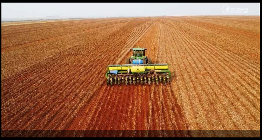 Setor produtivo defende modernização do seguro rural