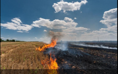 Setor segurador e a gestão de riscos climáticos: inovações e estratégias para uma economia sustentáve