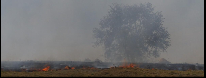 CNseg desenvolve ferramentas para seguradoras lidarem com mudança climática