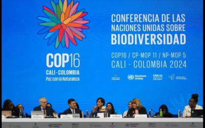 CNseg e Fasecolda firmam aliança para transformar o mercado segurador na América Latin