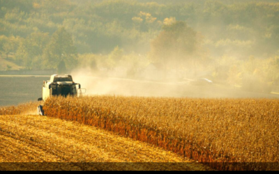 Em expansão, Seguro Rural terá certificação inédita