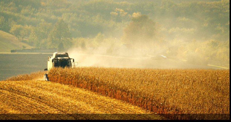 Em expansão, Seguro Rural terá certificação inédita