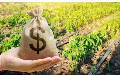 Contratação de seguros de vida aumenta entre produtores rurais