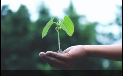 Setor de seguros se adapta à crise climática