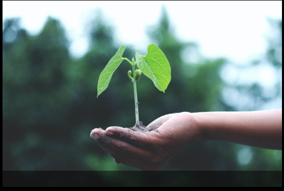 Setor de seguros se adapta à crise climática