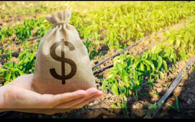 Bancada ruralista tenta reforço de R$ 1 bilhão para o seguro rural em 2025