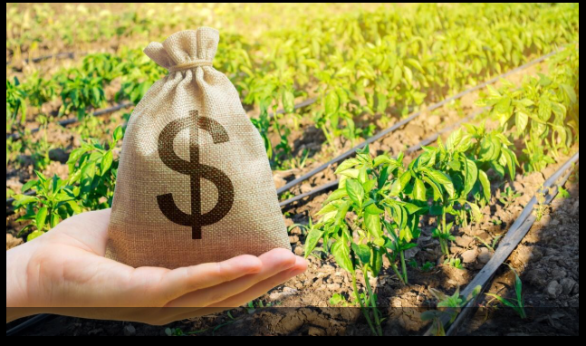 Bancada ruralista tenta reforço de R$ 1 bilhão para o seguro rural em 2025