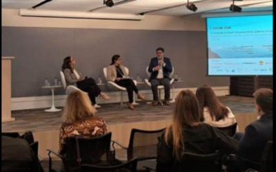 Seguro e Sustentabilidade: Mesa Redonda da Unep Fi discute desafios e soluções para a transição climática