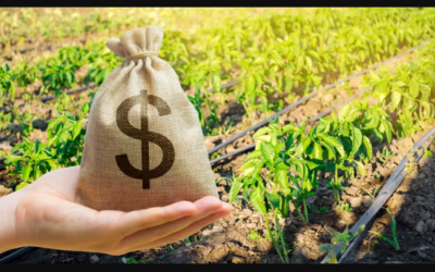 Seguro safra de inverno e máquinas agrícolas já disponível