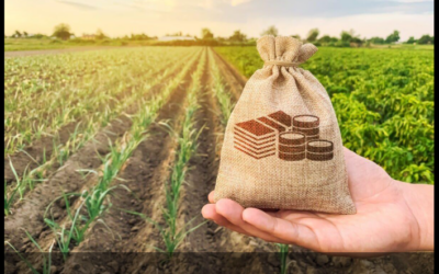 Seguro rural: governo libera R$ 179 milhões