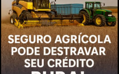 Seguro agrícola pode destravar seu crédito rural