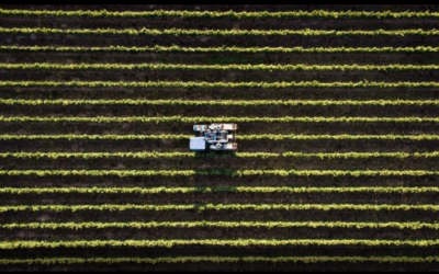 Seguro rural cobre só 14% da área agrícola