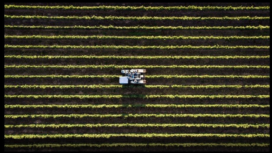 Seguro rural cobre só 14% da área agrícola