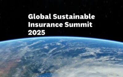 Diretor da CNseg participa c do Global Sustainable Insurance Summit 2015, na Califórnia