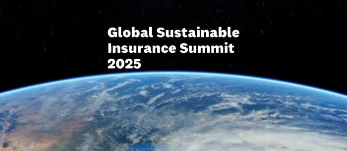 Diretor da CNseg participa c do Global Sustainable Insurance Summit 2015, na Califórnia