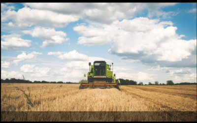 Governo anuncia a liberação de mais recursos para a contratação de seguro rural