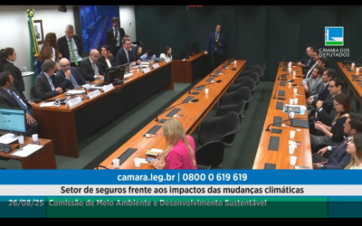 Audiência na Câmara debate papel estratégico do setor de seguros diante das mudanças climáticas