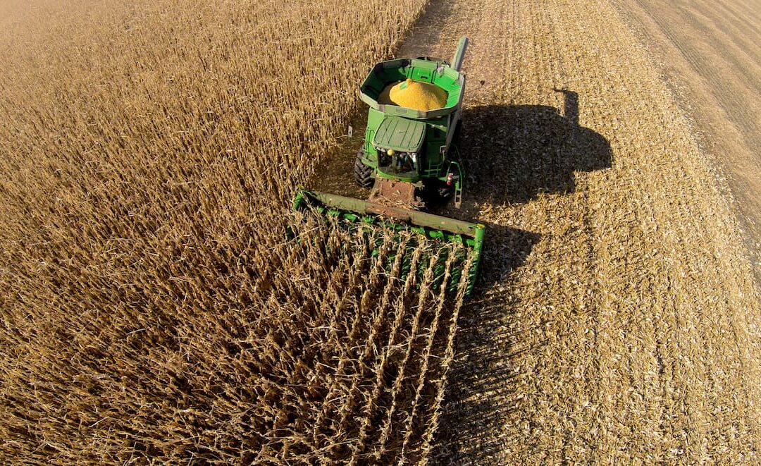 Seguro rural ganha força e movimenta R$ 14 bilhões em 10 anos