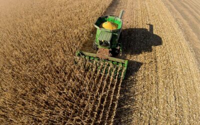 Seguro rural na Bahia: proteção estratégica para o campo e para a economia