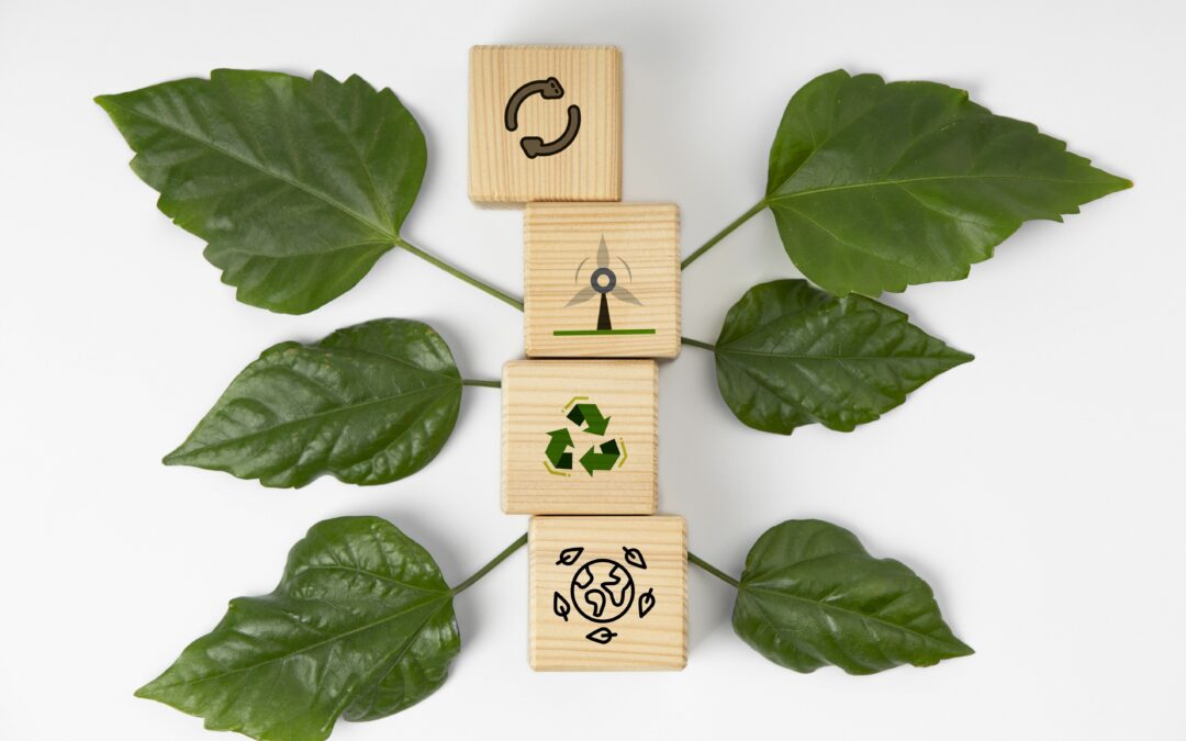 Seguro mais verde: sustentabilidade chega às apólices