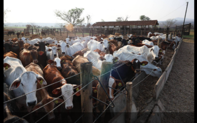 Prêmio distribui R$ 210 mil para reportagens sobre seguros