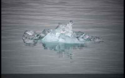 COP30: O teste de fogo do Acordo de Paris