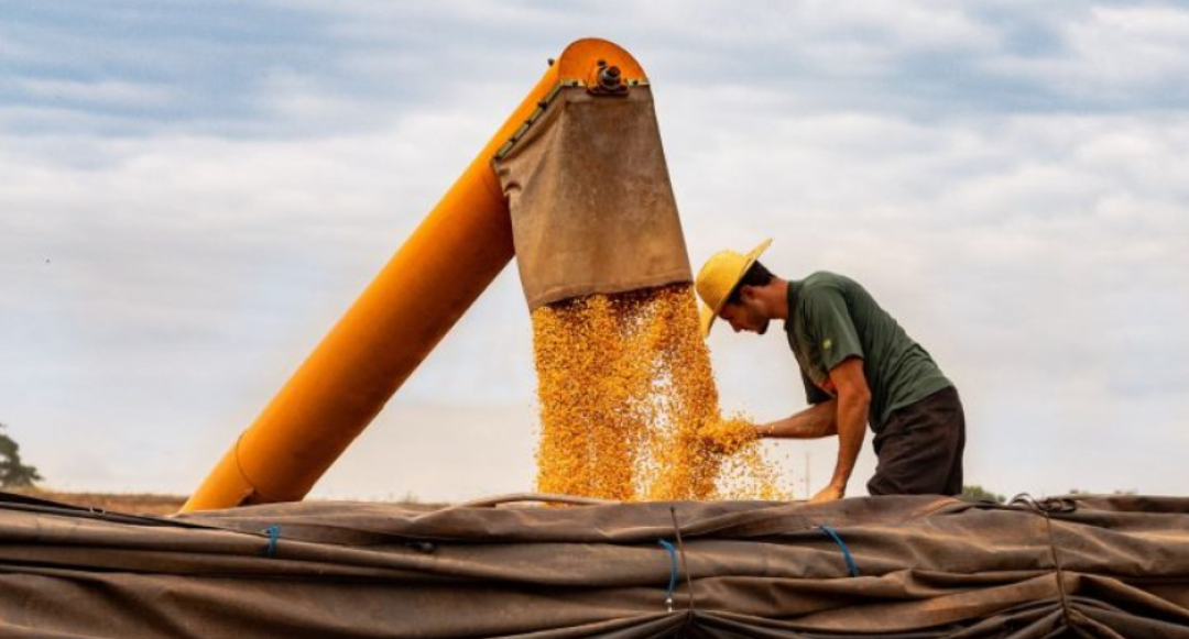 2026 testa a sobrevivência econômica do produtor rural, alerta Roberto Rodrigues
