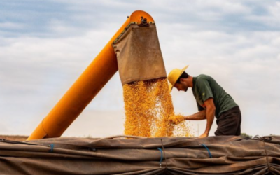 2026 testa a sobrevivência econômica do produtor rural, alerta Roberto Rodrigues