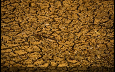 Avanço do clima extremo expõe fragilidades do seguro rural no país