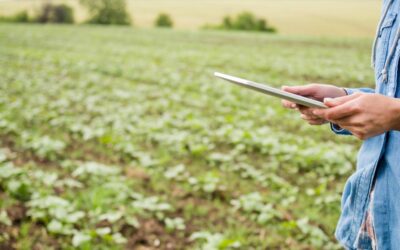 Seguro paramétrico cresce, mas enfrenta desafios no Brasil